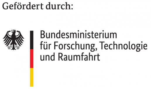 Logo des Bundesministeriums f&uuml;r Forschung, Technologie und Raumfahrt